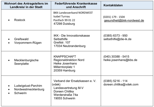 [Bild von Übersicht der Aufteilung der Federführung unter den Krankenkassen]